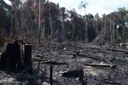 Alertas de desmatamento crescem 90,5% na Amazônia Legal