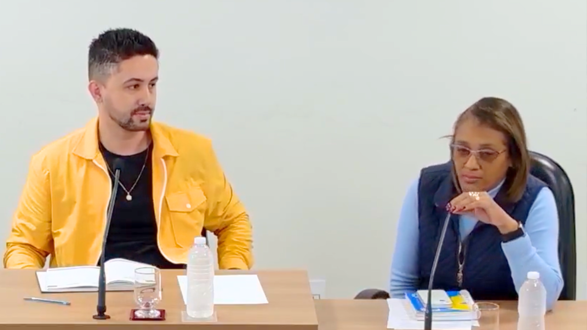 Câmara discute situação de creches e escolas que atendem crianças menores de 4 anos em reunião das comissões temáticas