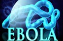 Ministério da Saúde anuncia novas medidas de monitoramento do Ebola
